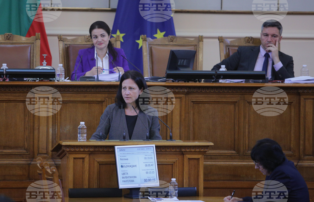 Парламент - заседание - Цвета Рангелова