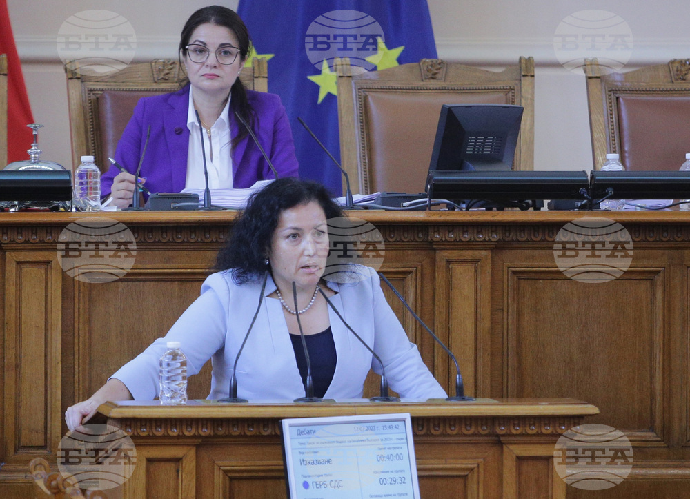 Парламент - заседание - Десислава Танева