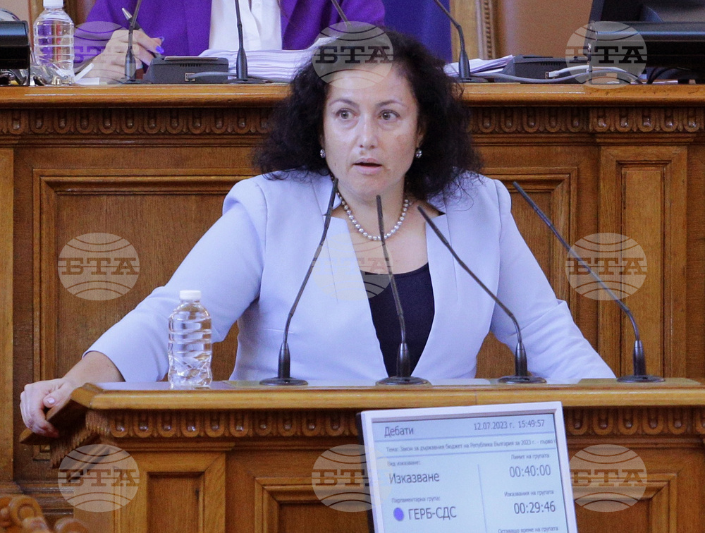 Парламент - заседание - Десислава Танева