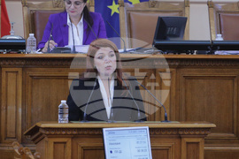 Парламент - заседание - Венеция Ангова