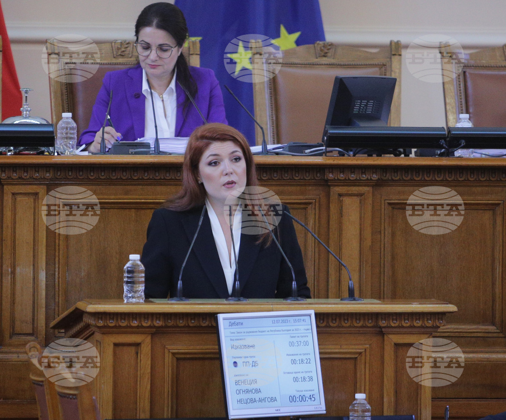 Парламент - заседание - Венеция Ангова