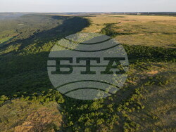 Снимка: Българско дружество за защита на птиците