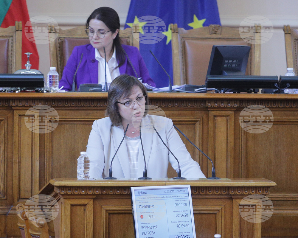 Парламент - заседание - Корнелия Нинова