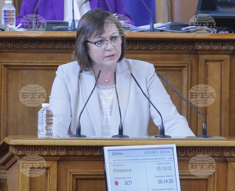 Парламент - заседание - Корнелия Нинова