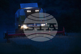 Село Голям Поровец - работа на полето - нощна жътва