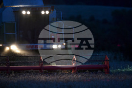 Село Голям Поровец - работа на полето - нощна жътва