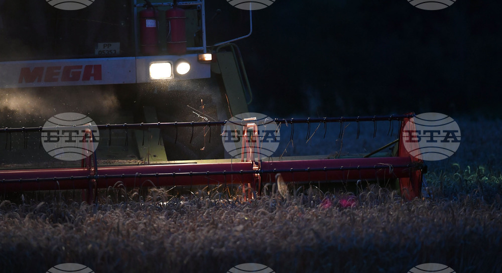 Село Голям Поровец - работа на полето - нощна жътва