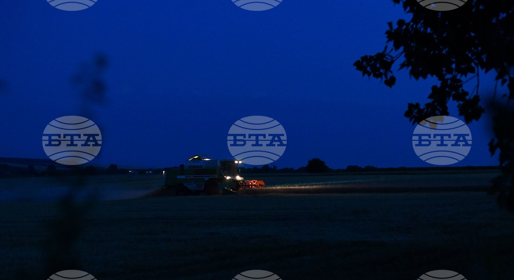 Село Голям Поровец - работа на полето - нощна жътва