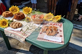 Село Гурково - Добруджански харман