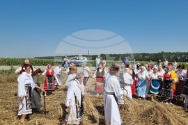 Село Гурково - Добруджански харман