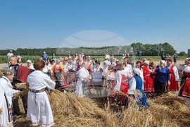 Село Гурково - Добруджански харман