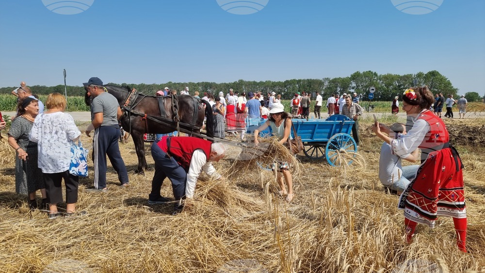 Село Гурково - Добруджански харман