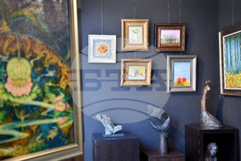 Варна - Елена Стоева - изложба