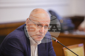 Парламент - Комисия по въпросите на Европейския съюз - Димитър Радев