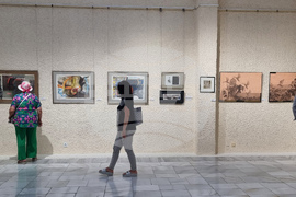 Добрич - изложба