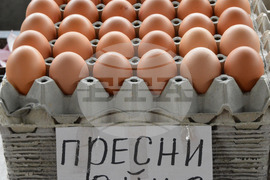 Хасково - кооперативен пазар