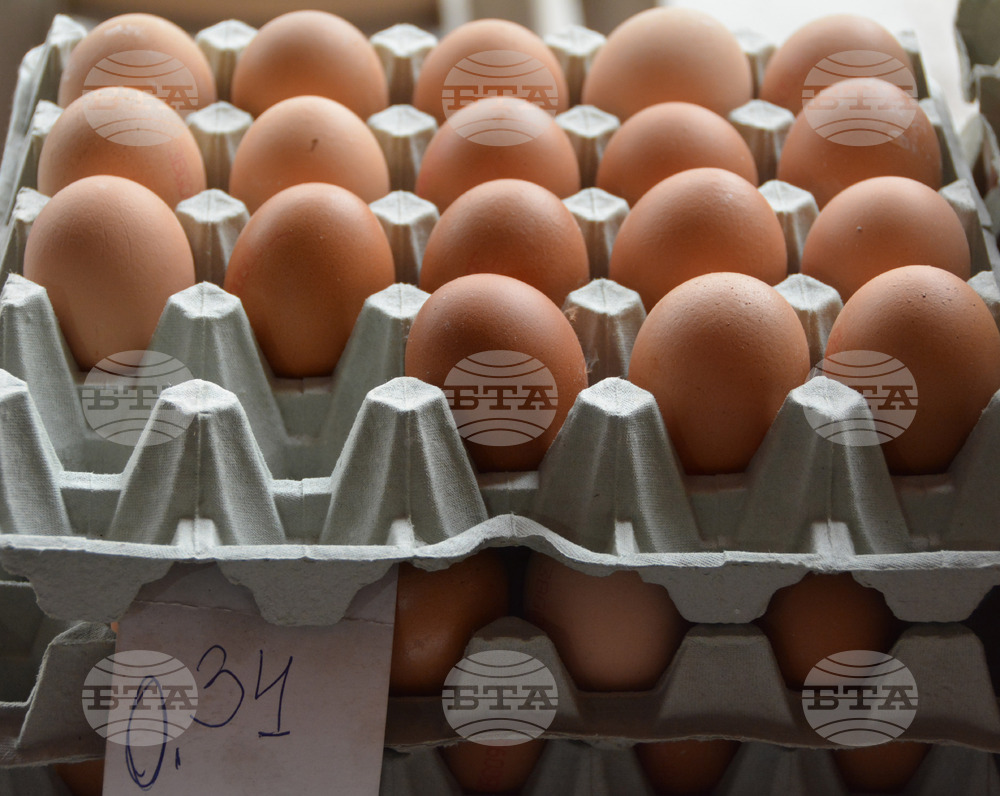 КАБАР: Киргизстан забрани вноса на кокоши яйца