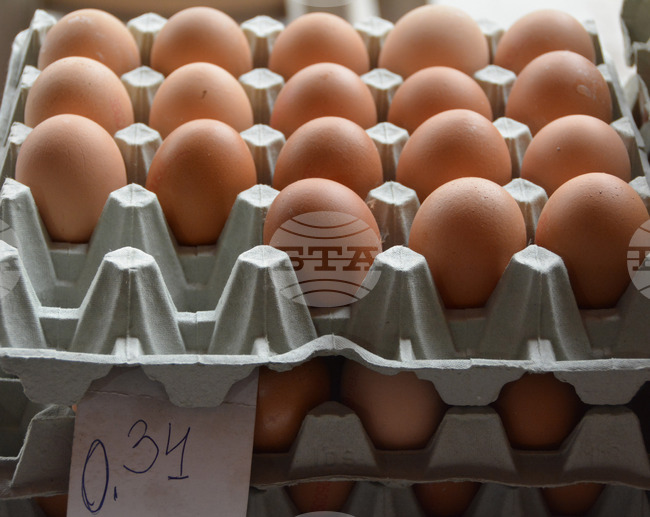 КАБАР: Киргизстан забрани вноса на кокоши яйца