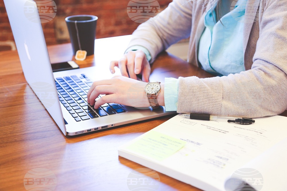 Expatriates Can Take Admission Exams to Universities in Bulgaria Online on July 15-16