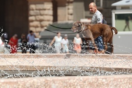 Горещо време