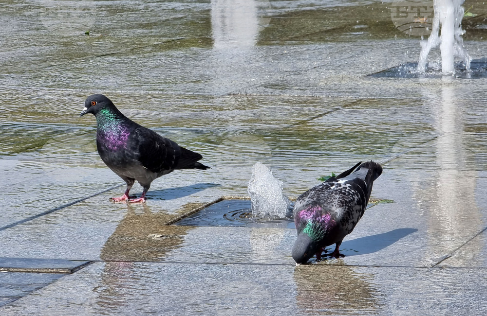 Варна - Горещини