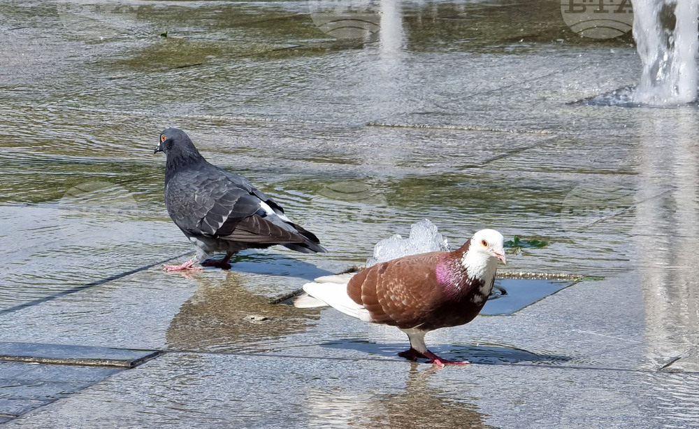 Варна - Горещини