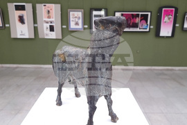 Русе -  изложба "Арго"