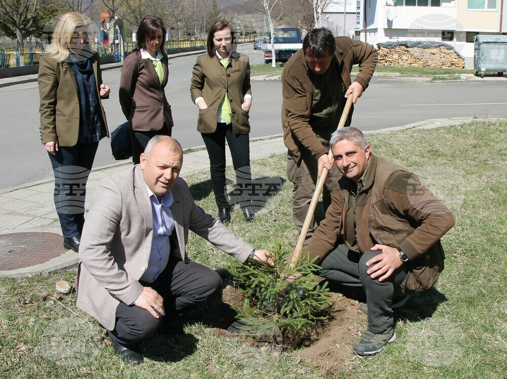 В Ардино засадиха едроразмерни фиданки по случай Седмицата на гората