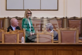 Народно събрание - парламентарен контрол - Милена Стойчева