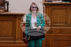 Народно събрание - парламентарен контрол - Милена Стойчева