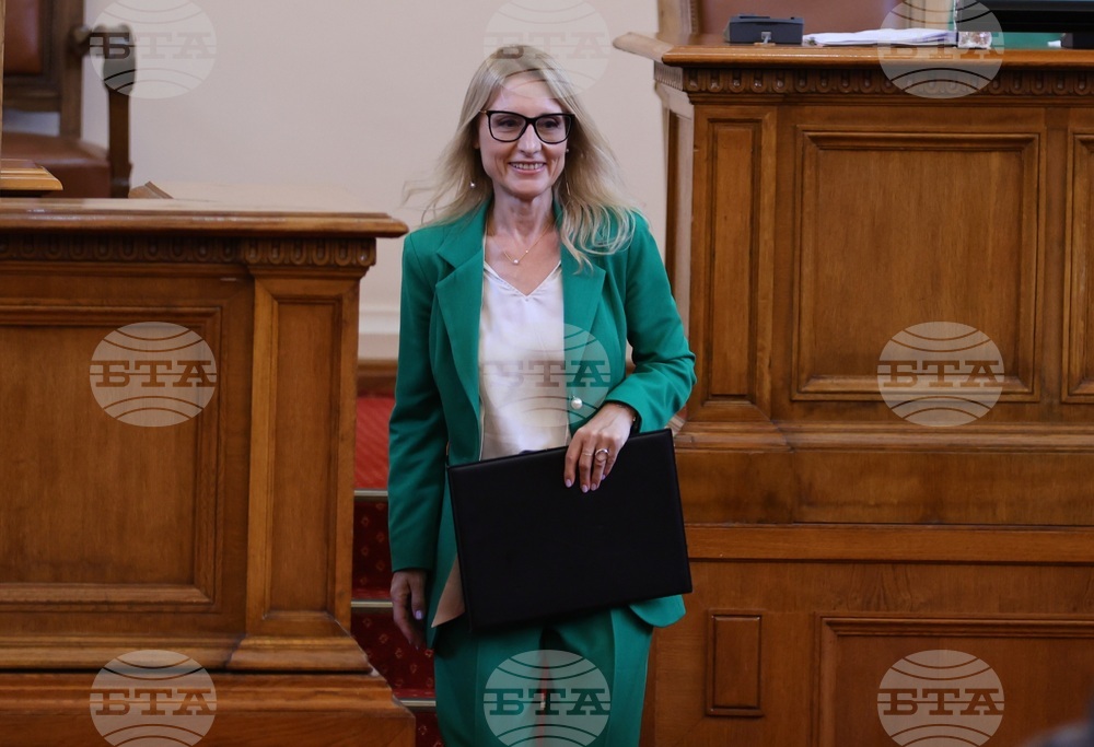 Народно събрание - парламентарен контрол - Милена Стойчева