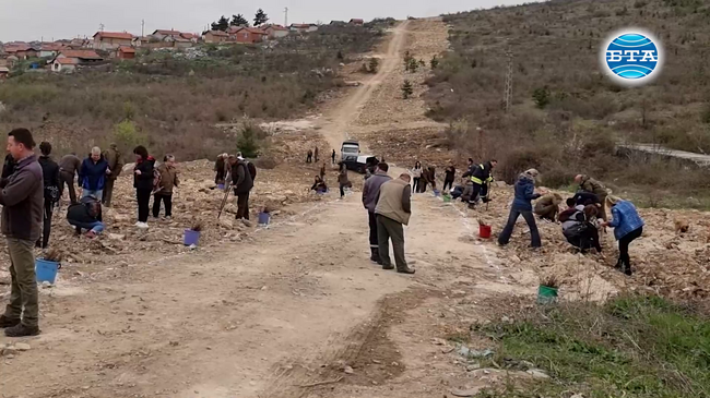 Залесиха над 3000 фиданки край Стара Загора в Седмицата на гората