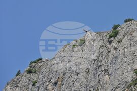 Село Ягодина - панорамна площадка "Орлово око"