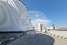 Ловеч - завод