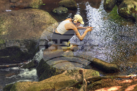 Витоша летен фест