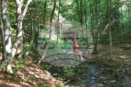 Витоша летен фест