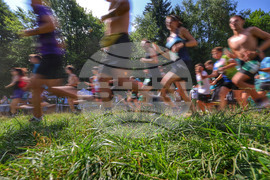 Витоша летен фест