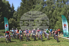 Витоша летен фест