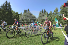 Витоша летен фест