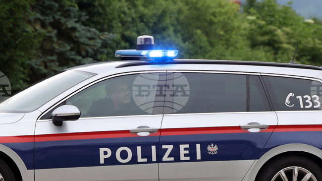 АПА: Спор покрай детски рожден ден в търговски център във Виена завърши със седем ранени полицаи 