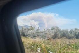 Гърция - румънски пожарникари - пожар - помощ