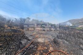 Гърция - румънски пожарникари - пожар - помощ