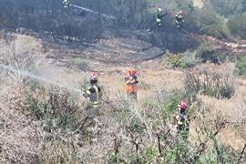Гърция - румънски пожарникари - пожар - помощ