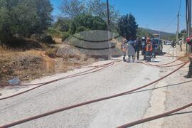 Гърция - румънски пожарникари - пожар - помощ