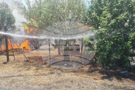 Гърция - румънски пожарникари - пожар - помощ