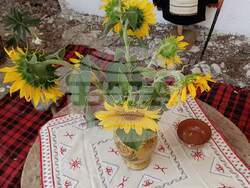 Снимка: Община Ловеч