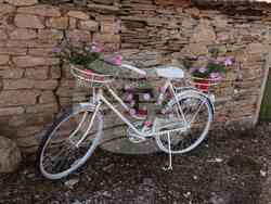 Снимка: Община Ловеч