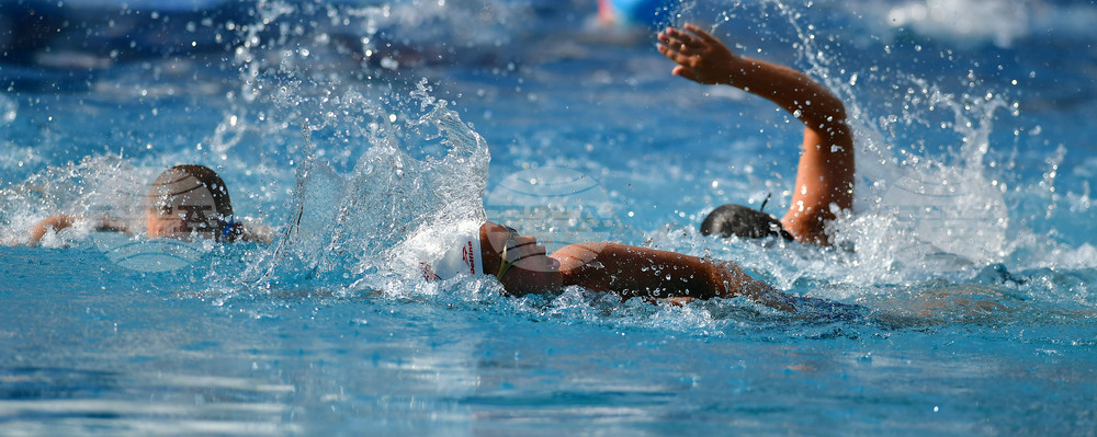 Разград - общински плувен празник