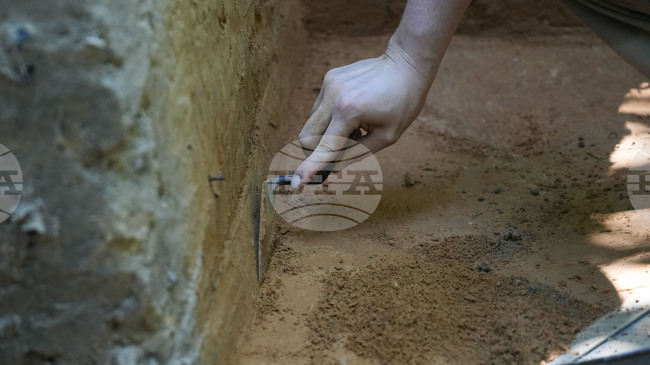 Музей във Великобритания търси 150 000 лири, за да запази рядка находка от бронзовата епоха