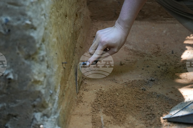 Музей във Великобритания търси 150 000 лири, за да запази рядка находка от бронзовата епоха